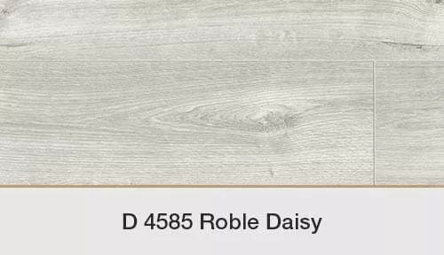 ROBLE DAISY