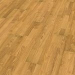 Roble 3.3