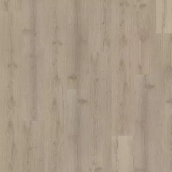 vinilo