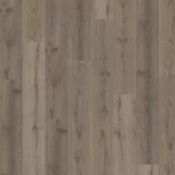 vinilo