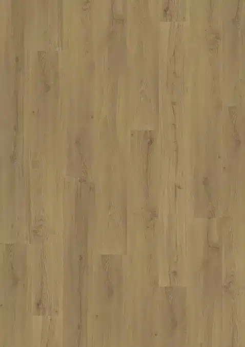 vinilo