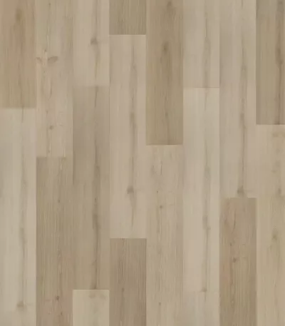vinilo