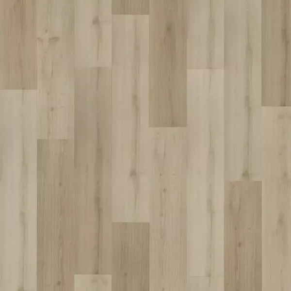 vinilo