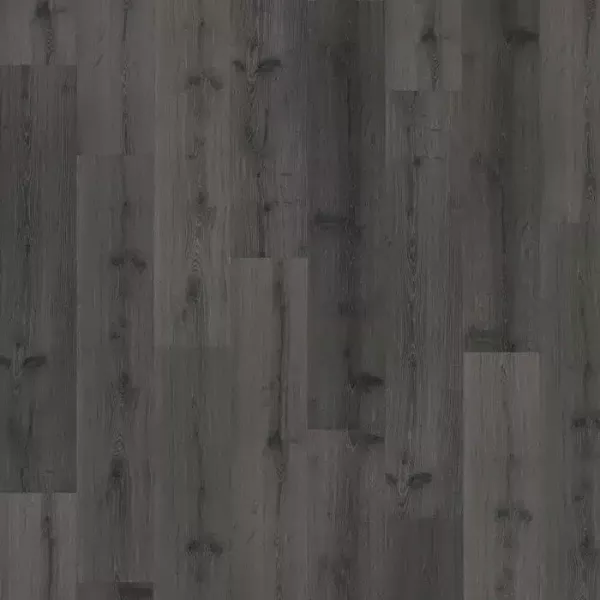 vinilo